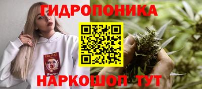 ПСИЛОЦИБИНОВЫЕ ГРИБЫ Старая Купавна
